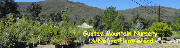 Front of Nursery